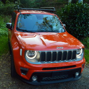 Renegade